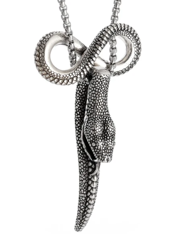 Halskette Schlangen Mystisch Reptil Anhänger Edelstahl gothic 60 cm